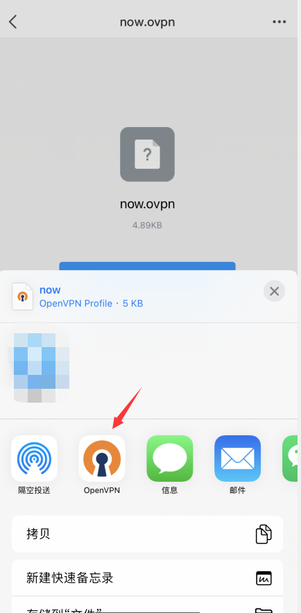 万安科技 iOS OpenVPN 教程 - 步骤3: 导入配置文件