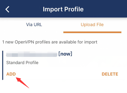 万安科技 iOS OpenVPN 教程 - 步骤4: 添加配置