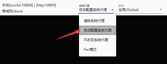 万安科技 Windows SOCKS5 教程 - 步骤8: 全局模式图标